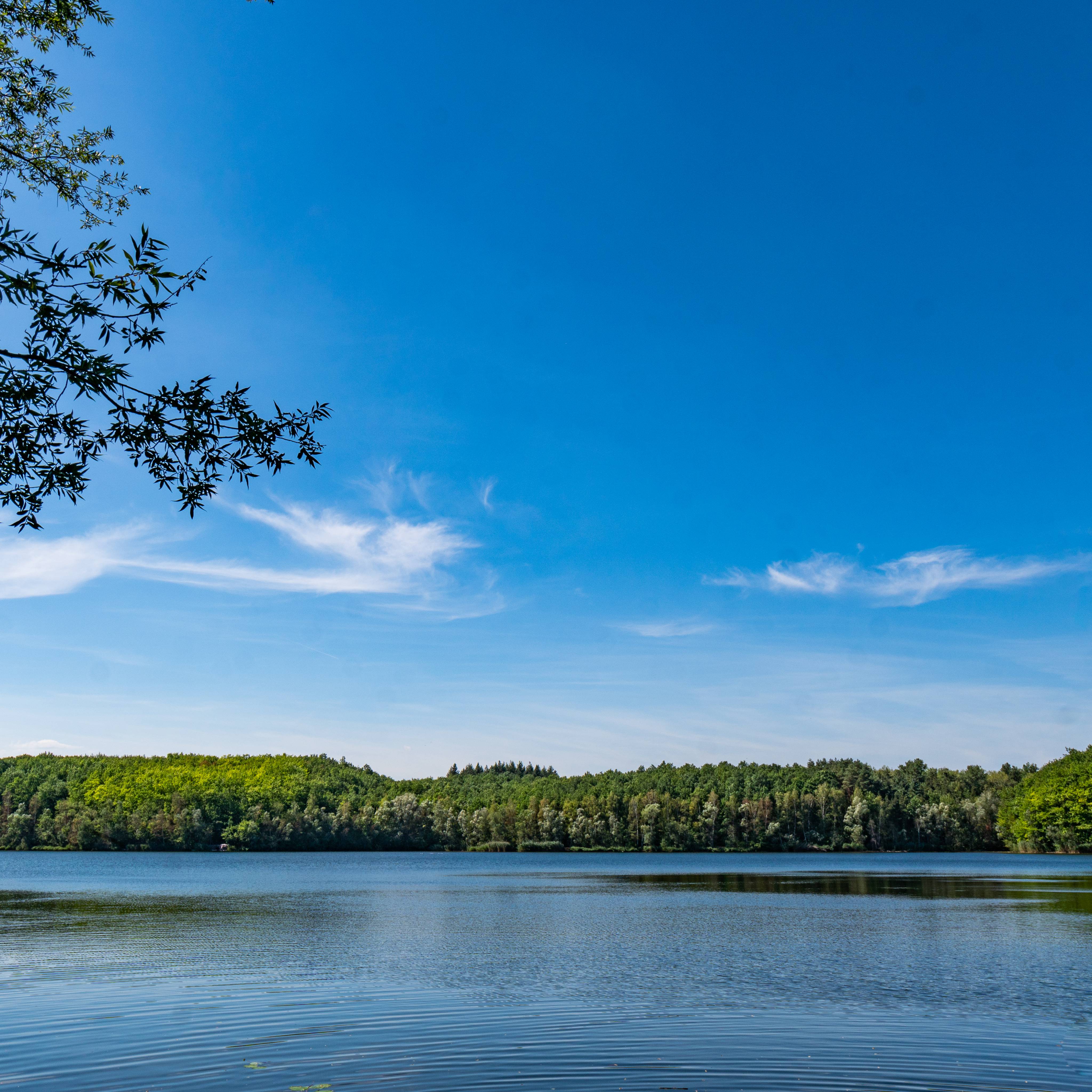 See in Erftstadt im Rheinland