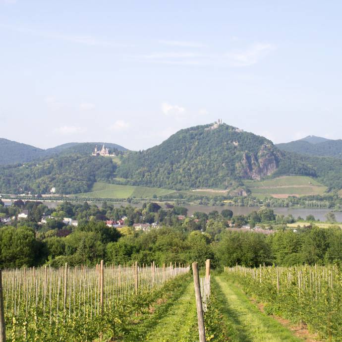 Natur pur. - Landidyll Hotel Weidenbrück